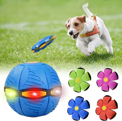 Pawfection™ Dog Frisbee