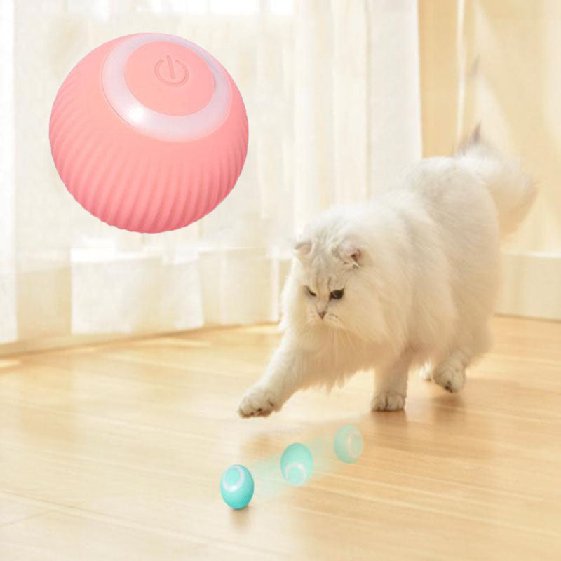 Pawfection  Interactive Ball